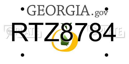 RTZ8784 Georgia License Plate
