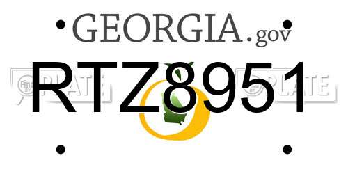 RTZ8951 Georgia License Plate