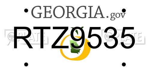 RTZ9535 Georgia License Plate