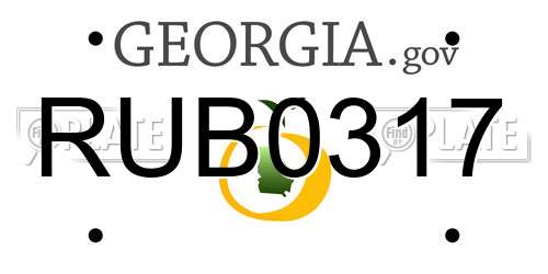 RUB0317 Georgia License Plate