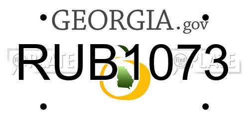 RUB1073 Georgia License Plate