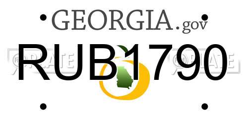 RUB1790 Georgia License Plate