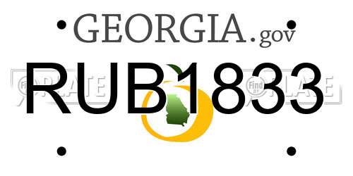 RUB1833 Georgia License Plate