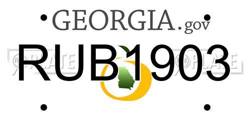 RUB1903 Georgia License Plate