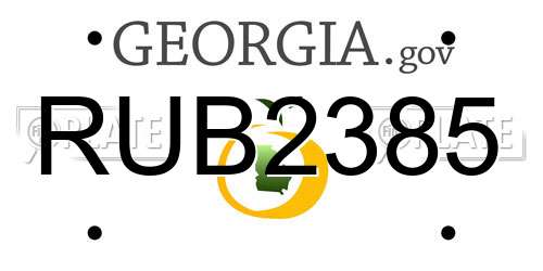 RUB2385 Georgia License Plate