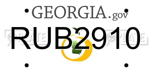 RUB2910 Georgia License Plate