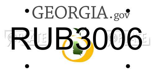 RUB3006 Georgia License Plate