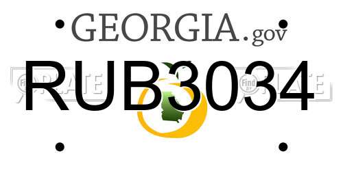 RUB3034 Georgia License Plate