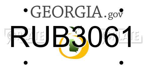 RUB3061 Georgia License Plate