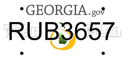 RUB3657 Georgia License Plate
