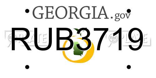 RUB3719 Georgia License Plate