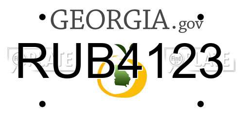 RUB4123 Georgia License Plate