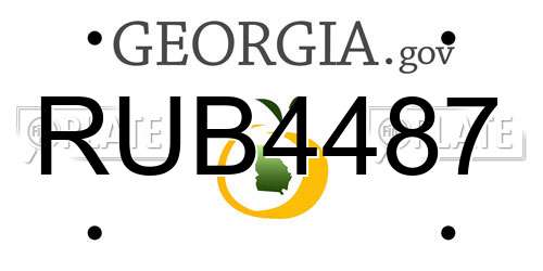 RUB4487 Georgia License Plate
