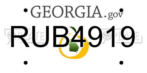 RUB4919 Georgia License Plate