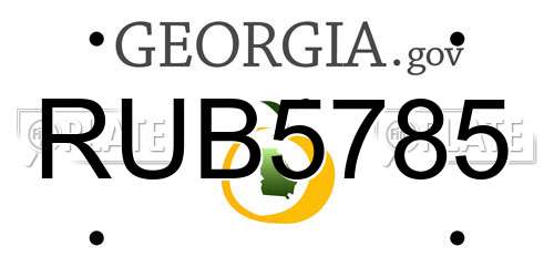 RUB5785 Georgia License Plate
