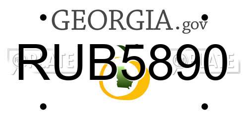 RUB5890 Georgia License Plate