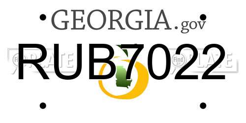 RUB7022 Georgia License Plate