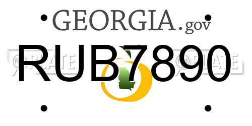 RUB7890 Georgia License Plate
