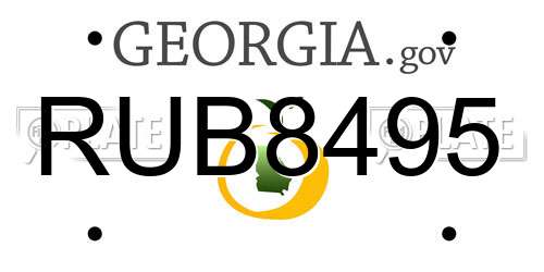 RUB8495 Georgia License Plate
