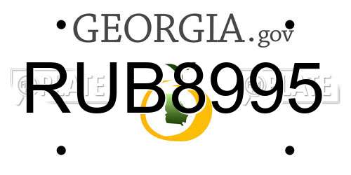 RUB8995 Georgia License Plate