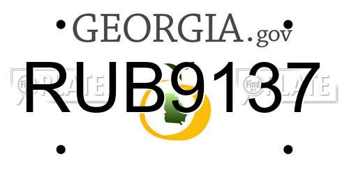 RUB9137 Georgia License Plate