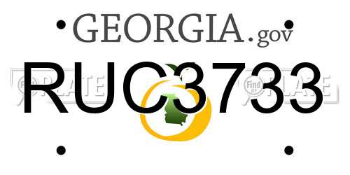 RUC3733 Georgia License Plate