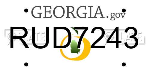 RUD7243 Georgia License Plate