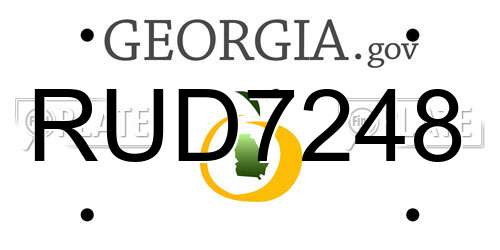 RUD7248 Georgia License Plate