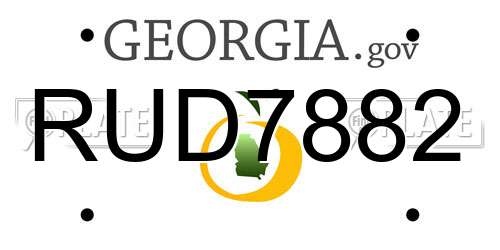 RUD7882 Georgia License Plate