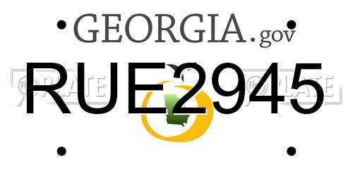 RUE2945 Georgia License Plate