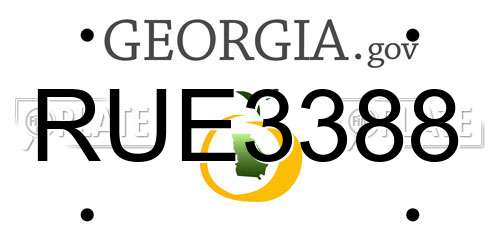 RUE3388 Georgia License Plate