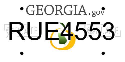 RUE4553 Georgia License Plate