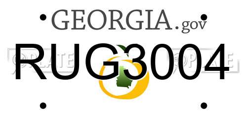RUG3004 Georgia License Plate