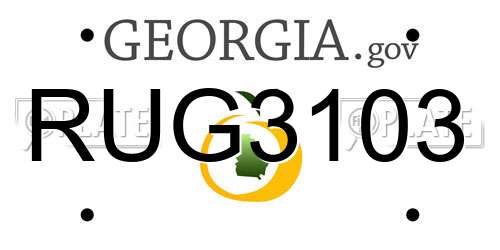 RUG3103 Georgia License Plate