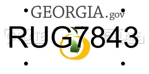 RUG7843 Georgia License Plate