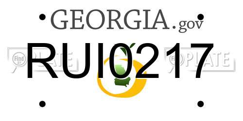 RUI0217 Georgia License Plate
