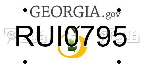 RUI0795 Georgia License Plate