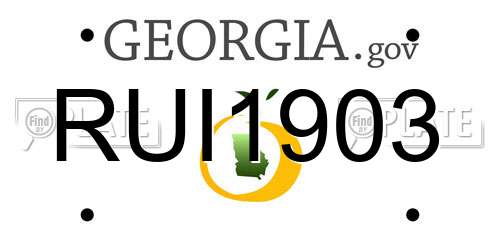 RUI1903 Georgia License Plate
