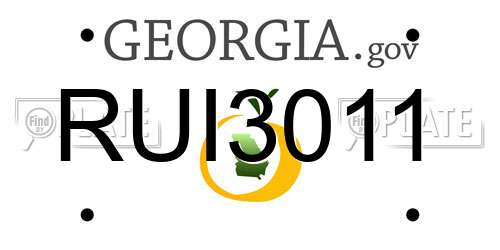 RUI3011 Georgia License Plate