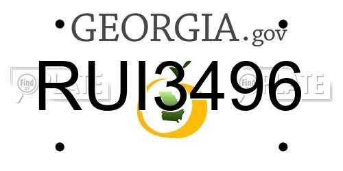 RUI3496 Georgia License Plate