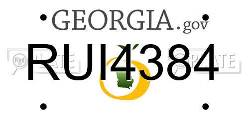RUI4384 Georgia License Plate