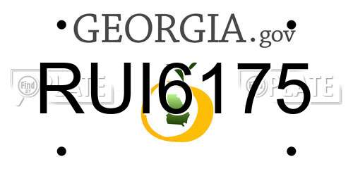 RUI6175 Georgia License Plate