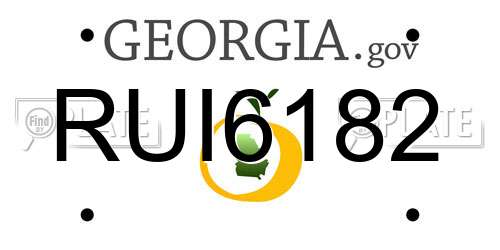 RUI6182 Georgia License Plate
