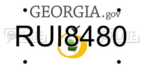 RUI8480 Georgia License Plate
