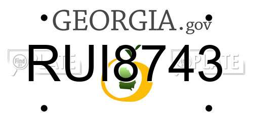 RUI8743 Georgia License Plate