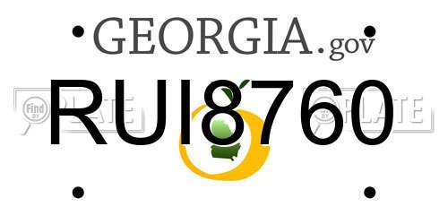 RUI8760 Georgia License Plate