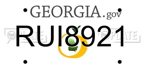 RUI8921 Georgia License Plate