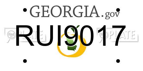 RUI9017 Georgia License Plate