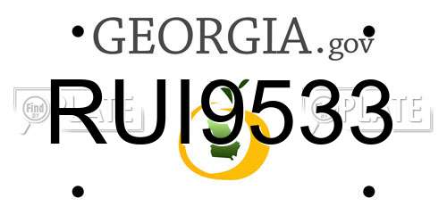 RUI9533 Georgia License Plate