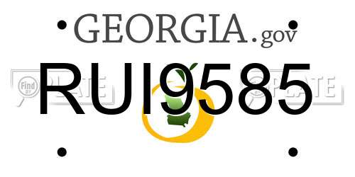 RUI9585 Georgia License Plate